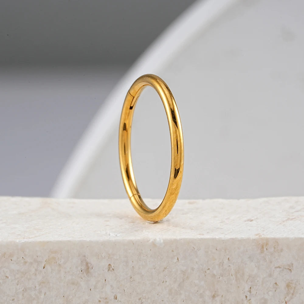 Right Grand ASTM F136 Titanium Hinged Hoop Nose Rings 20G 18G 16G Septum Ring Body Piercing Jewelry Helix Cartilage Rook Earring