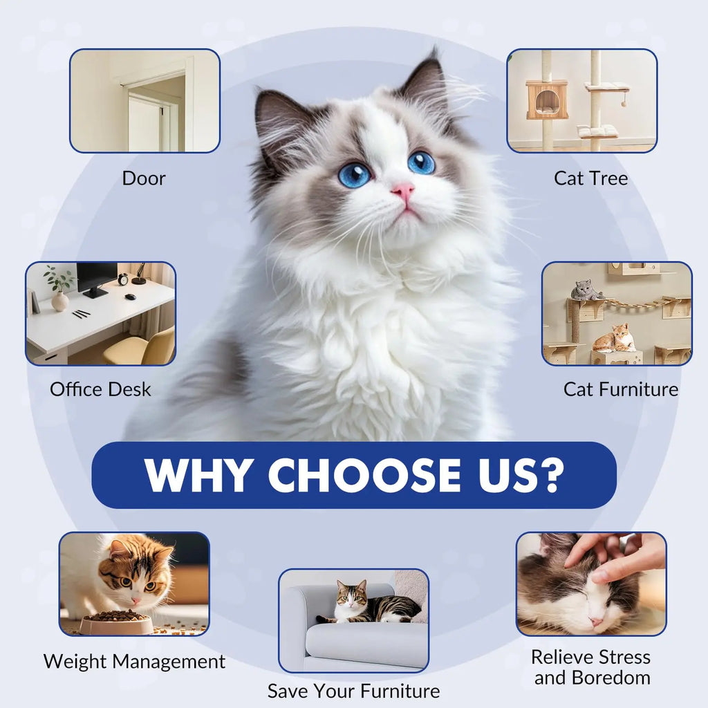 Interactive Cat Toys for Indoor Cats, Smart USB Rechargeable Door Hanging retractable cat toy, with 3 Catnip Mice, for Bored Cat
