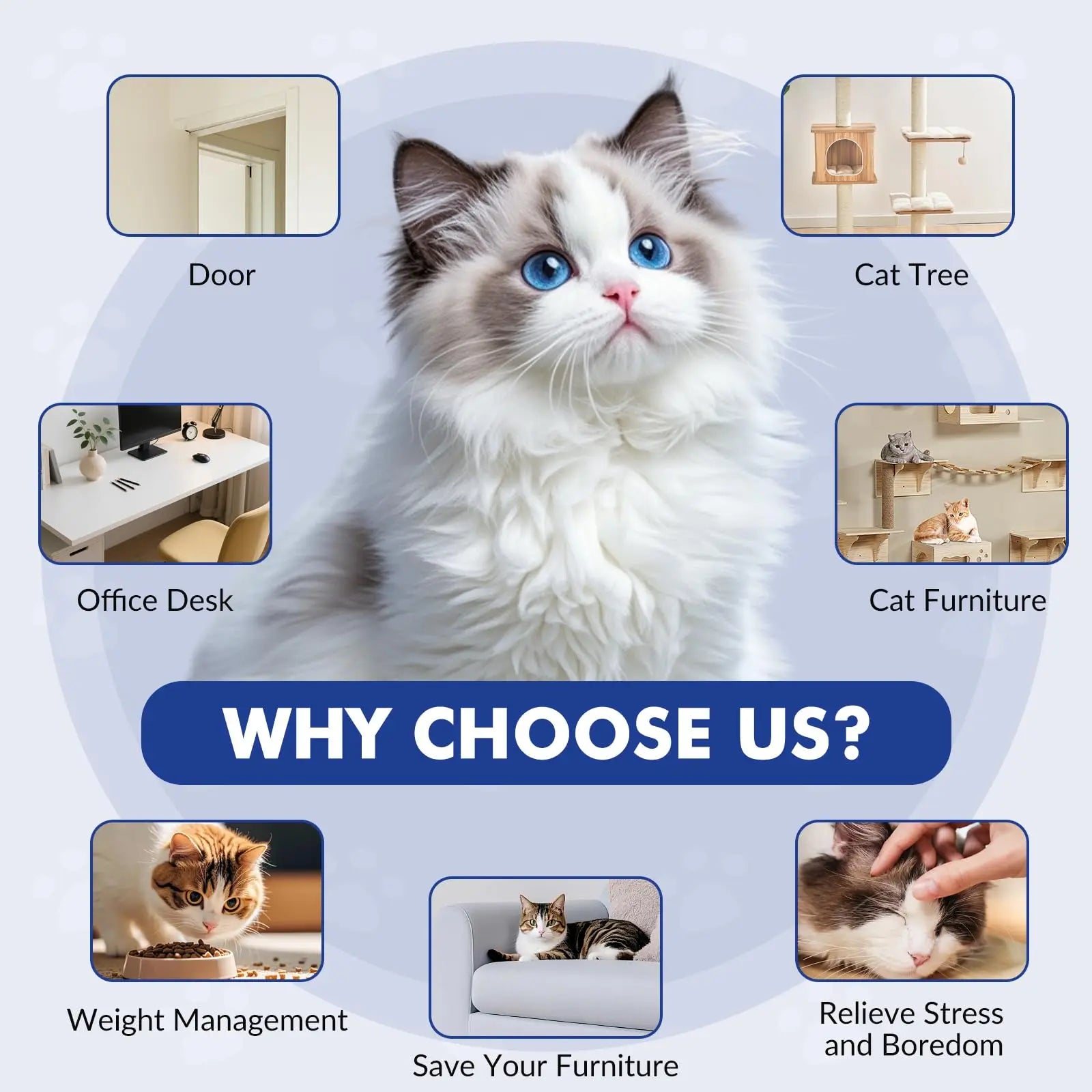 Interactive Cat Toys for Indoor Cats, Smart USB Rechargeable Door Hanging retractable cat toy, with 3 Catnip Mice, for Bored Cat
