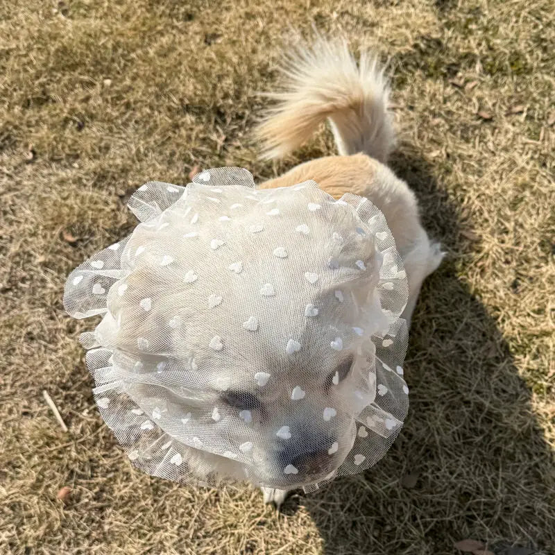 Comfortable Mesh Dog Mouth Cover Prevents Mess Eating Suitable for Small to Medium Dogs Prevents Biting And Licking