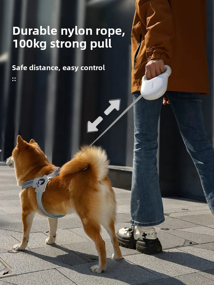 Automatic Retractable Dog Leash 5 Meters Long Teddy Dog Walking Rope Polyester Material for Small to Medium Sized Dogs