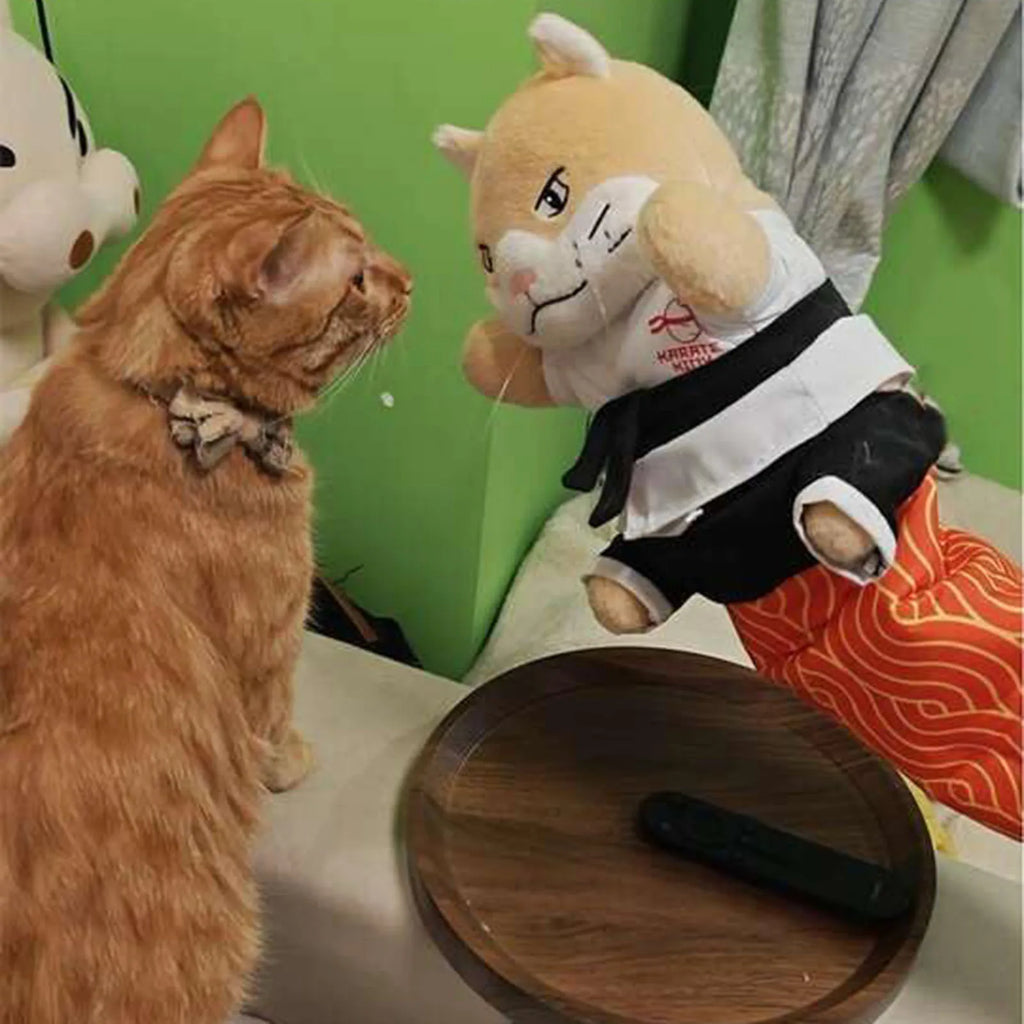 Cat Sumo Wrestler Hand Puppet Toy Interactive Plush Stuffed Animal with Sturdy Padding for Indoor Cats, Kids Pretend Play