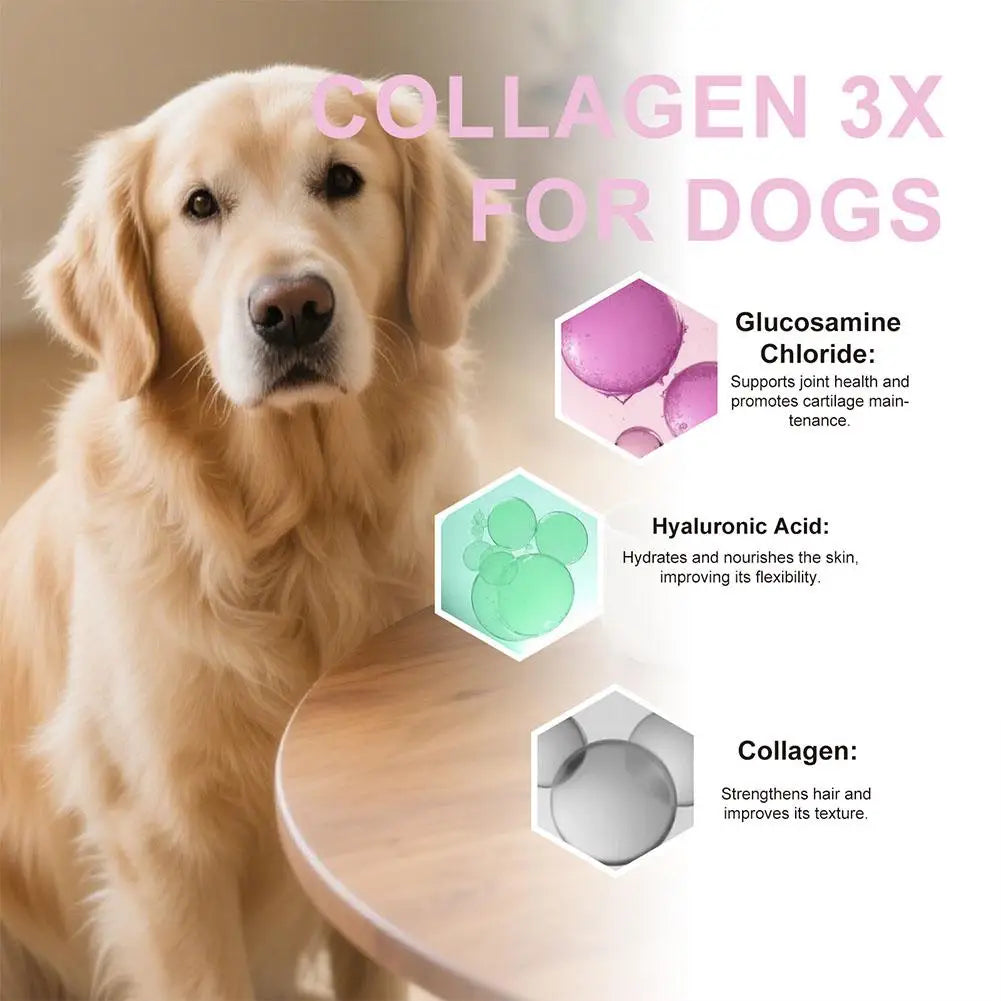 1/3/5Pcs 60ml Dog Pet Collagen Based Staple Food Combined With Nutritional Supplement Drops Gentle Formula For Hair Skin Care