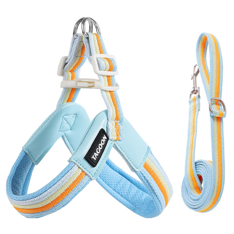 Hakimi Leash Dog Walking Harness Breathable Lightweight No Pulling Neck Collar for Small to Medium Dogs like Shiba Inu And Corgi