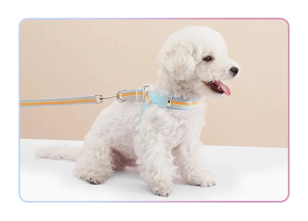 Hakimi Leash Dog Walking Harness Breathable Lightweight No Pulling Neck Collar for Small to Medium Dogs like Shiba Inu And Corgi