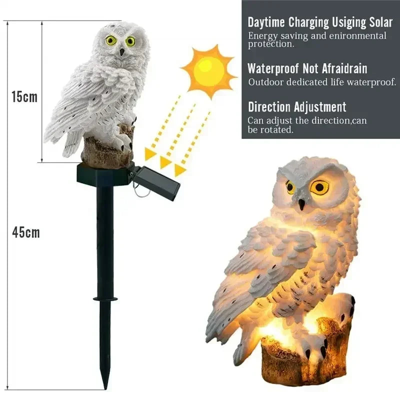 S255a29393f10495884aa087abaeedbf5a - MegaDeal