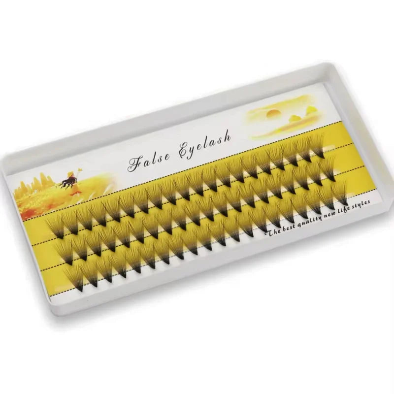 Pack of individual false eyelashes in a tray, natural black lashes for eye makeup
