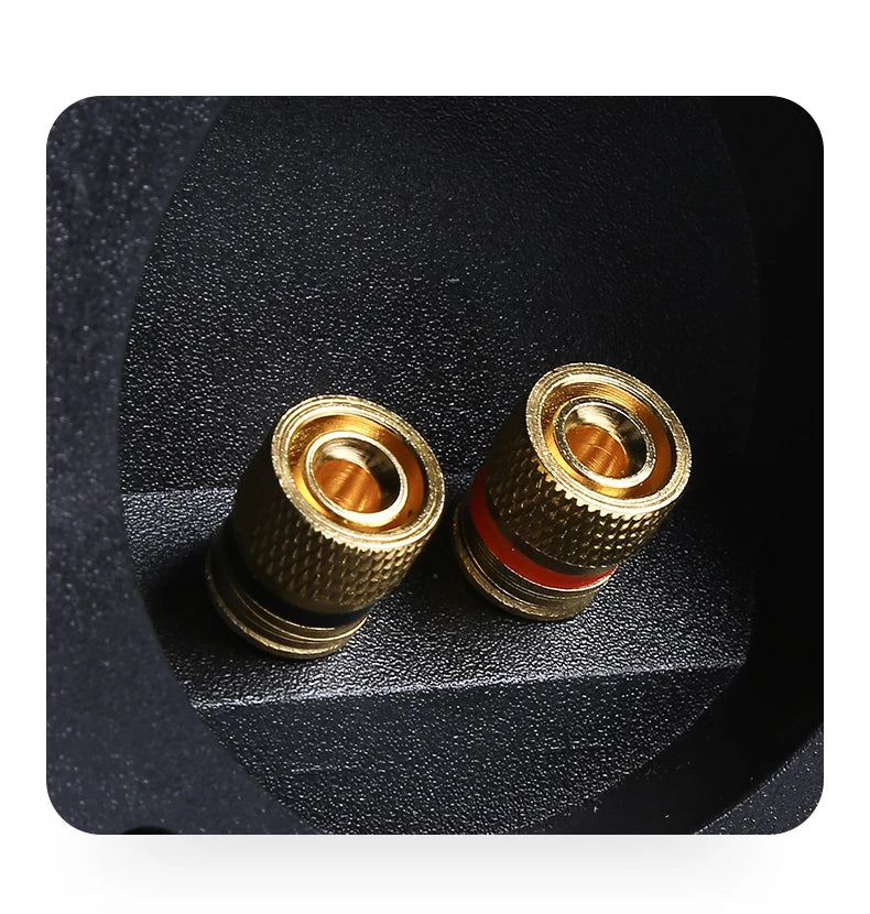 6.5 Inch Passive Subwoofer 100W High Power Sound Box HiFi Audio Speaker Large Magnetic Durable Loudspeakers For Home Theater DJs