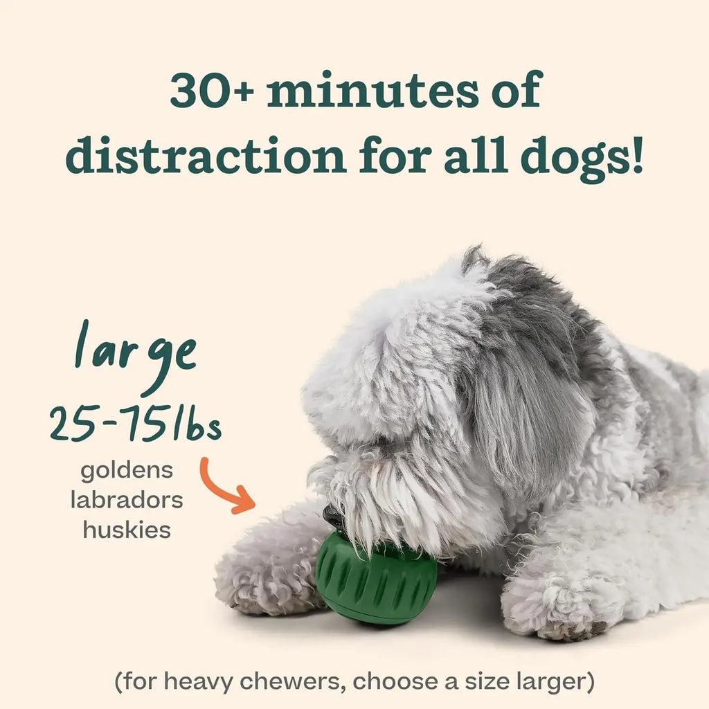 Chew Proof Interactive Dog Toys Silicone Dog Treat Molds Pupsicle Frozen Treat Maker Summer Cooling for Large Breed Dogs