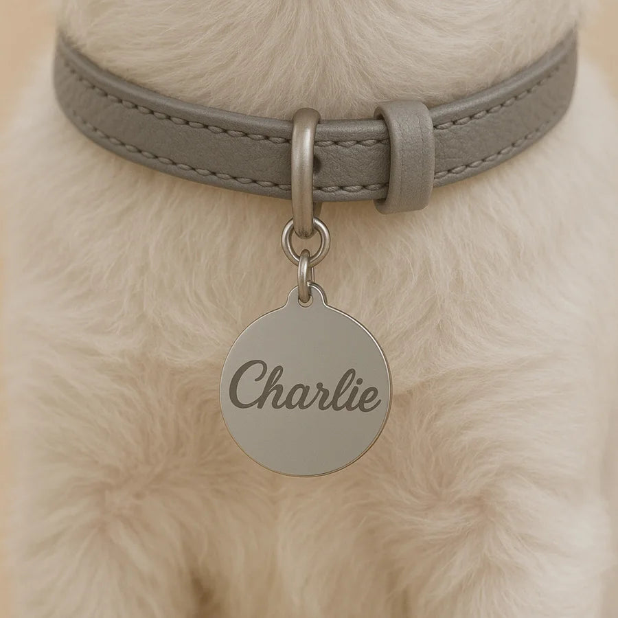 1pc Custom Stainless Steel Pet ID Tag Personalized Name & Phone Number Round Dog Cat Collar Tag 25mm