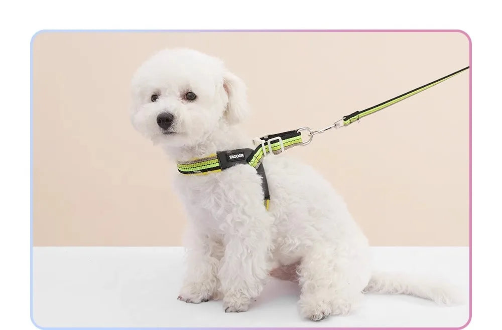 Hakimi Leash Dog Walking Harness Breathable Lightweight No Pulling Neck Collar for Small to Medium Dogs like Shiba Inu And Corgi
