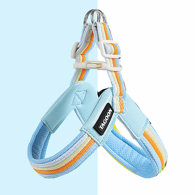 Hakimi Leash Dog Walking Harness Breathable Lightweight No Pulling Neck Collar for Small to Medium Dogs like Shiba Inu And Corgi
