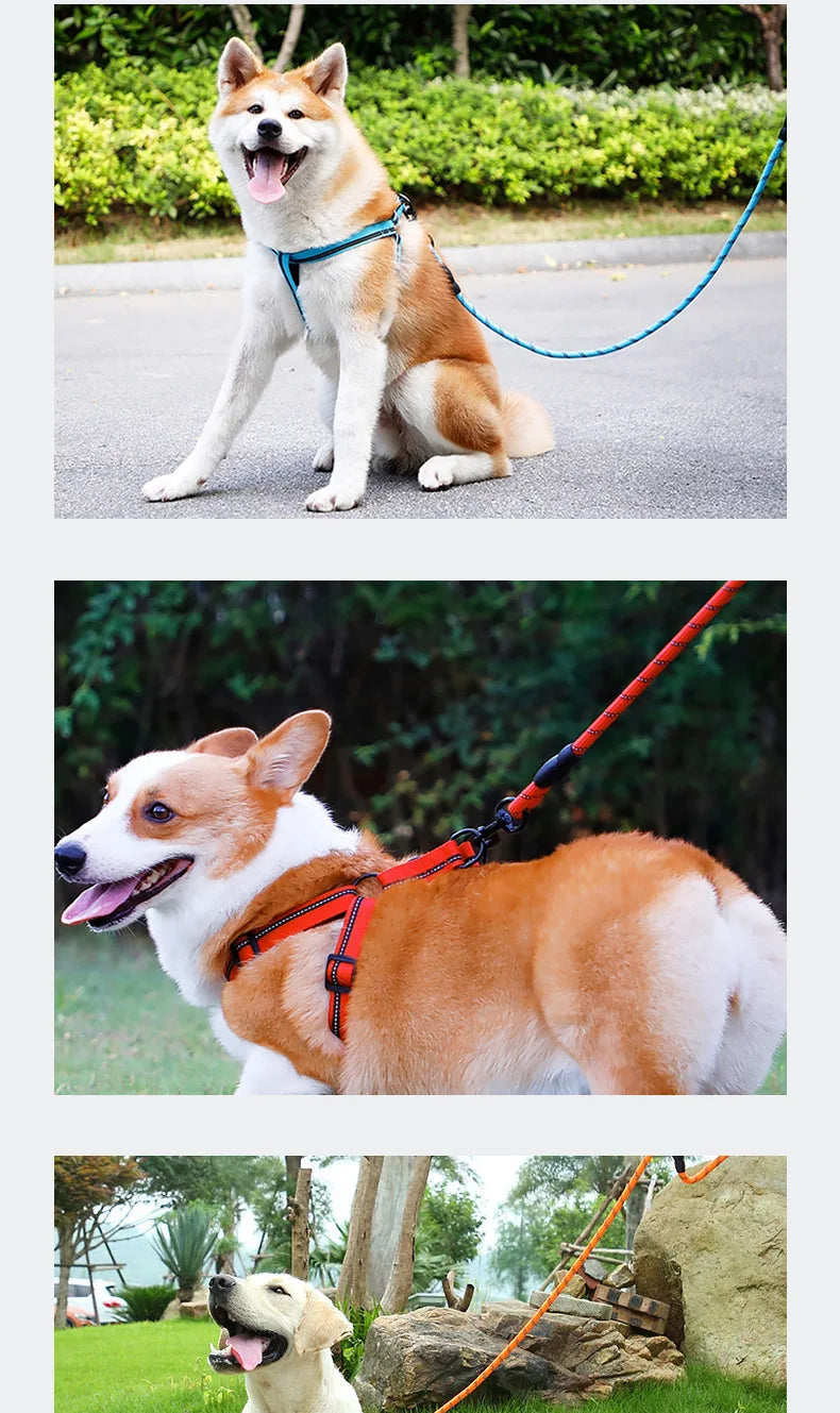 Strong Dog Leash Pet Leashes Reflective Leash For Big Small Medium Dog Leash Drag Pull Tow Golden Retriever