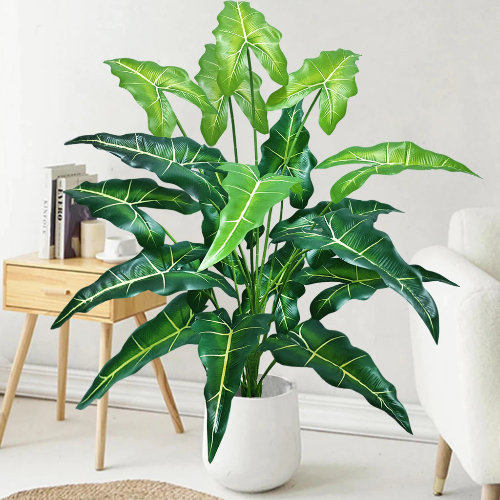 S5c05cf1ec78b4d18b4d4a31e2e94cb16M_e0b13850-f18d-4936-a0d3-6de8088cb251 - MegaDeal