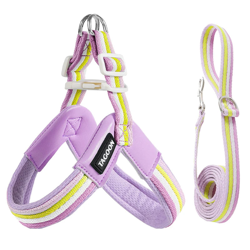 Hakimi Leash Dog Walking Harness Breathable Lightweight No Pulling Neck Collar for Small to Medium Dogs like Shiba Inu And Corgi