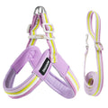 Hakimi Leash Dog Walking Harness Breathable Lightweight No Pulling Neck Collar for Small to Medium Dogs like Shiba Inu And Corgi