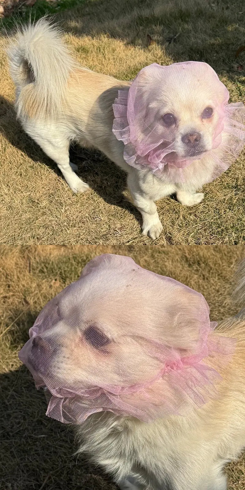 Comfortable Mesh Dog Mouth Cover Prevents Mess Eating Suitable for Small to Medium Dogs Prevents Biting And Licking