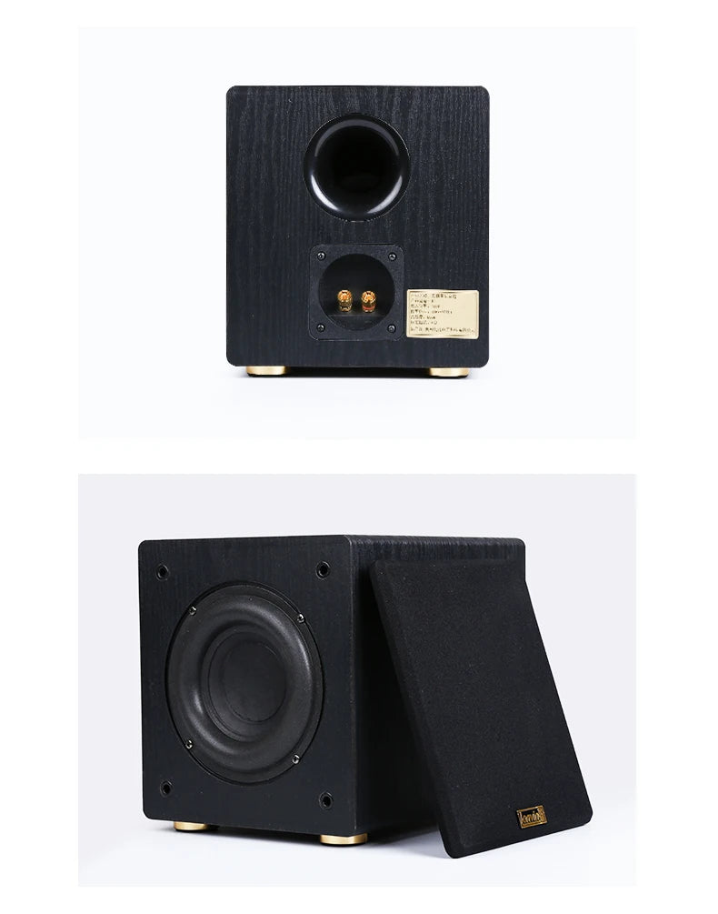 6.5 Inch Passive Subwoofer 100W High Power Sound Box HiFi Audio Speaker Large Magnetic Durable Loudspeakers For Home Theater DJs