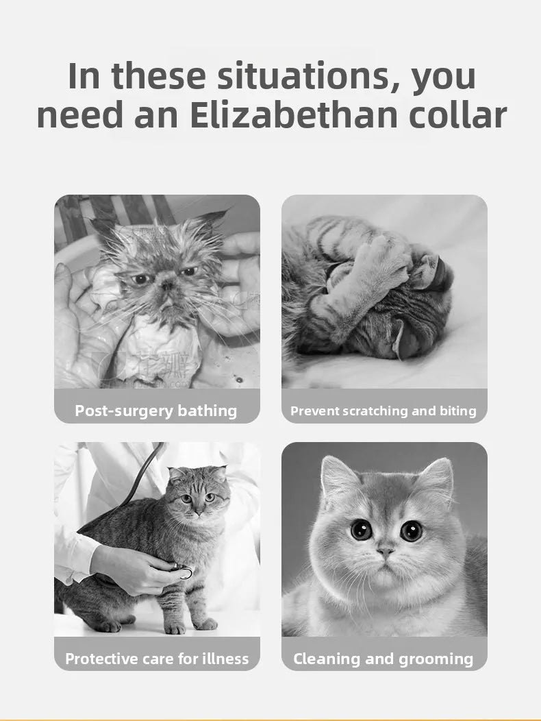 Pet Elizabethan Collar  Spay Neck Bracelet Waterproof Anti-Lick Small Medium Dog Bite Protection Head Cover Hipidog