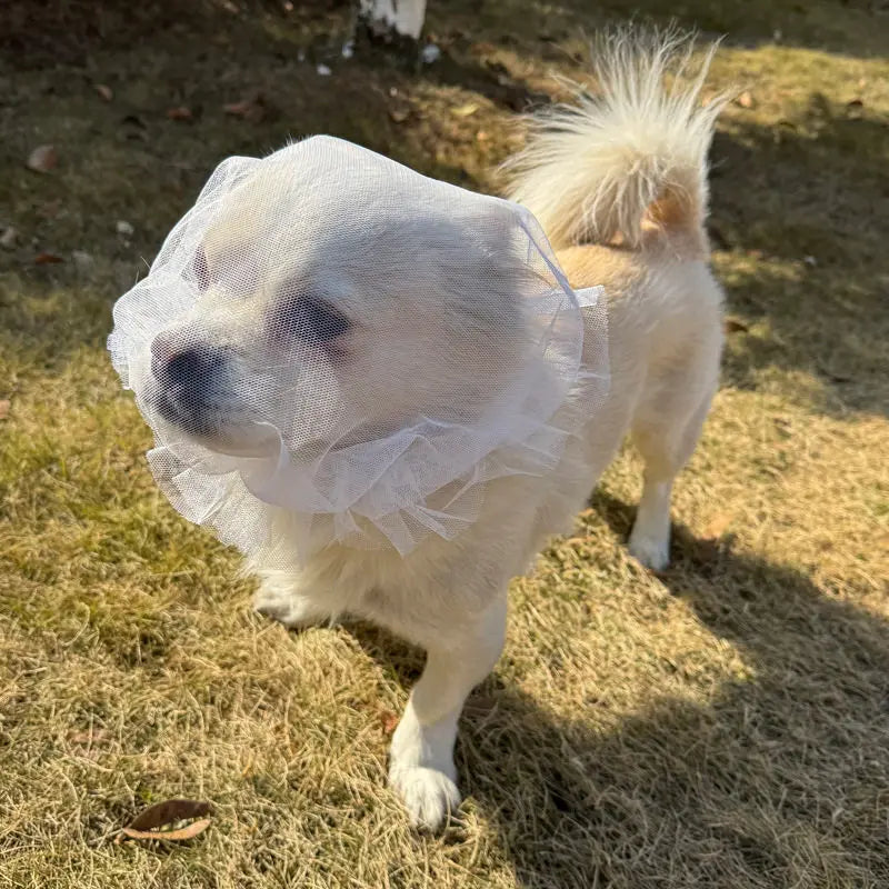 Comfortable Mesh Dog Mouth Cover Prevents Mess Eating Suitable for Small to Medium Dogs Prevents Biting And Licking