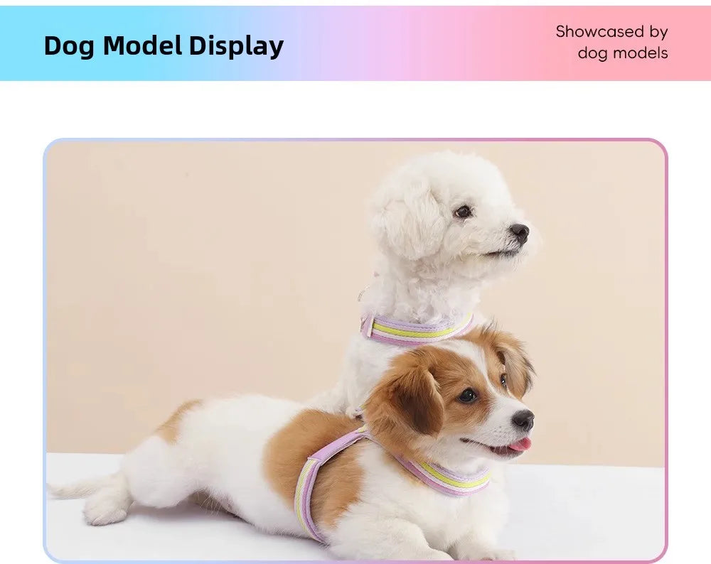 Hakimi Leash Dog Walking Harness Breathable Lightweight No Pulling Neck Collar for Small to Medium Dogs like Shiba Inu And Corgi