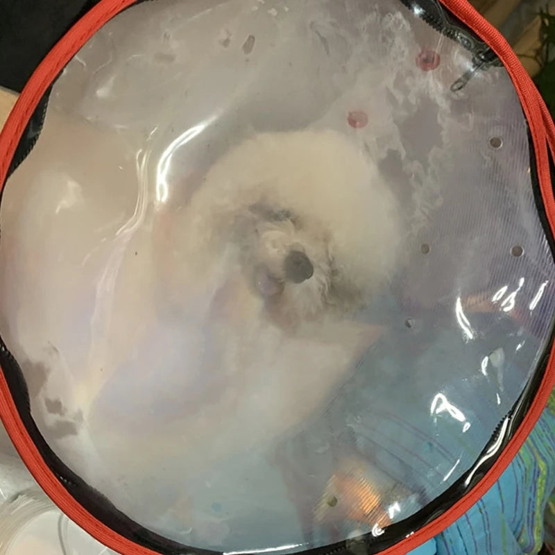 Pet Oxygen Mask Dog Anesthesia Mask Transparent Muzzles Safety Bite Prevent Small Medium Kitten Rescue Mask