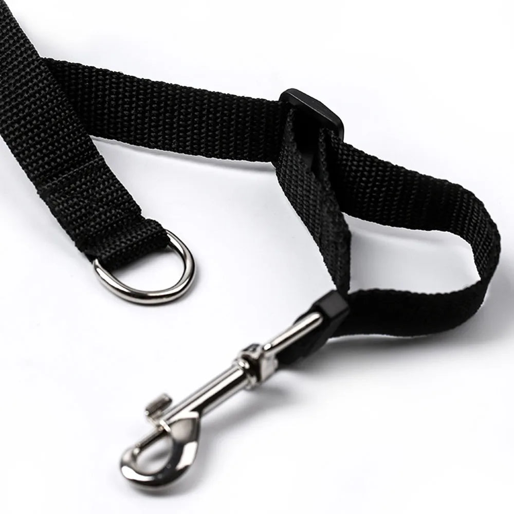 Long Dog Training Leash Tracking Line Puppy Obedience Recall Training Agility Lead 10m 20m 30m 50m Leash for Play Camp Backyard
