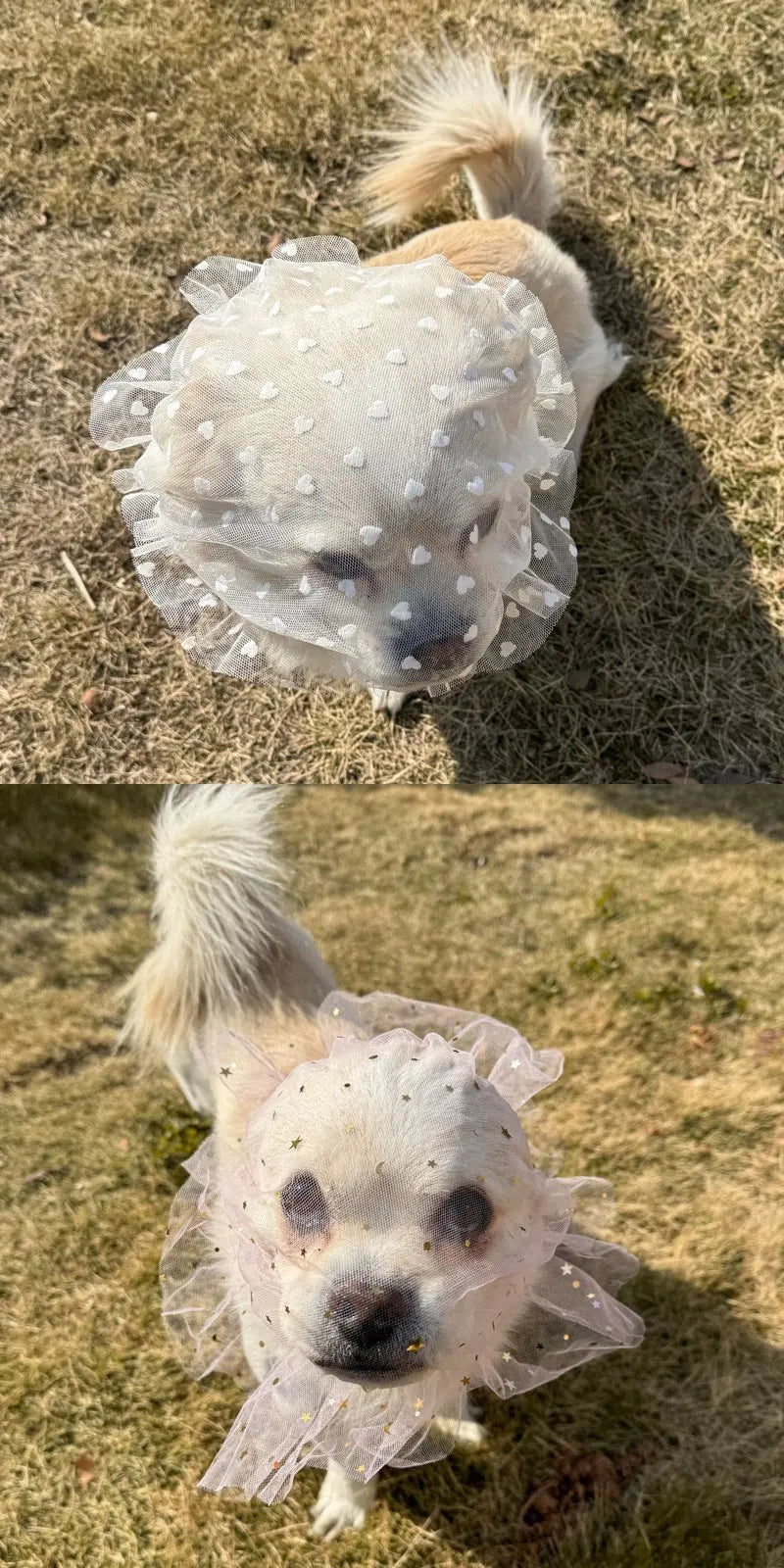 Comfortable Mesh Dog Mouth Cover Prevents Mess Eating Suitable for Small to Medium Dogs Prevents Biting And Licking