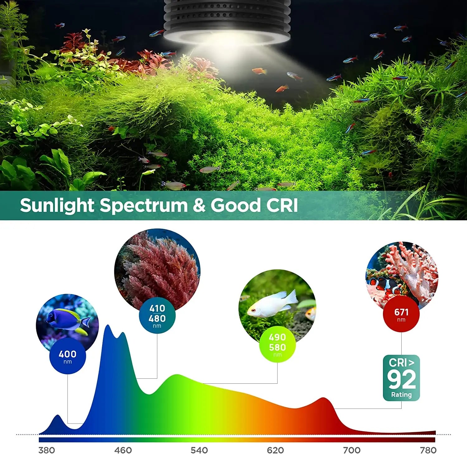 Lominie Asta 20 Freshwater 18W RGBW+UV Full Spectrum Nano LED Aquarium Light for Refugium Planted Fish Tank