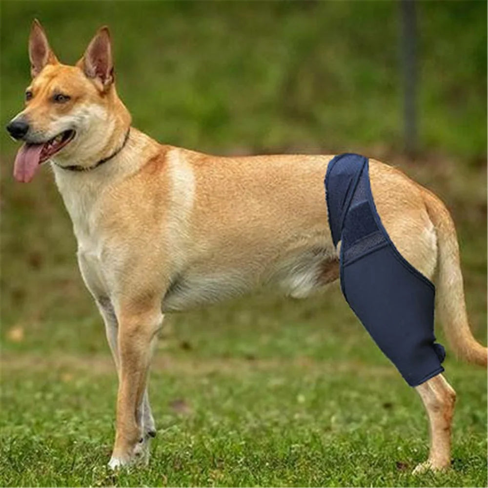 Adjustable Dog Leg Stand Support Sleeve Fracture Recovery Rehabilitation Pet Knee Protector Protective Equipment for Dogs