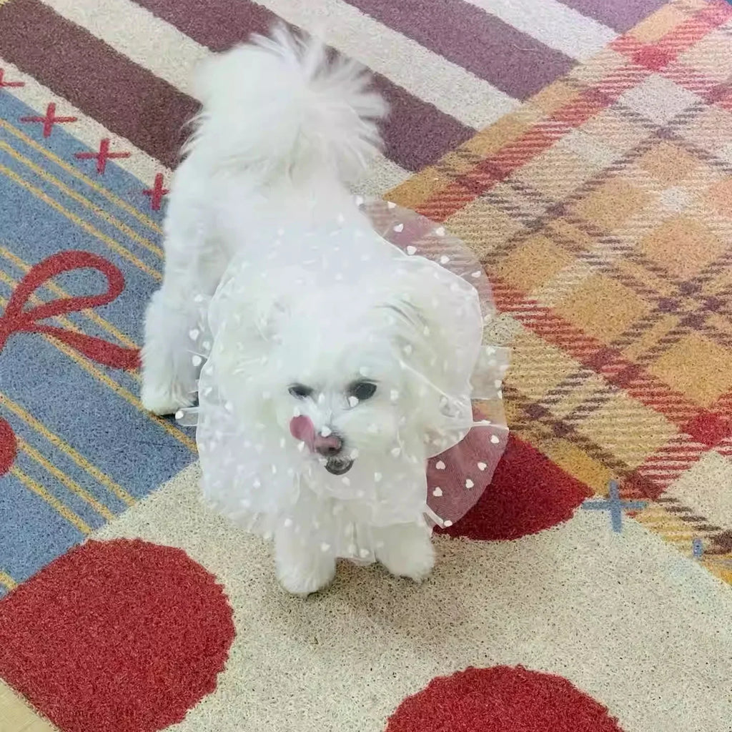 Comfortable Mesh Dog Mouth Cover Prevents Mess Eating Suitable for Small to Medium Dogs Prevents Biting And Licking