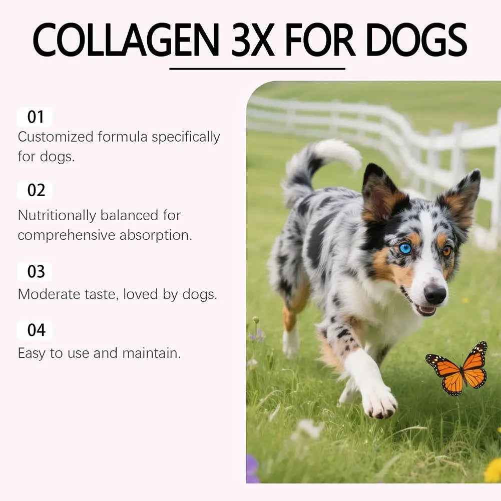 1/3/5Pcs 60ml Dog Pet Collagen Based Staple Food Combined With Nutritional Supplement Drops Gentle Formula For Hair Skin Care