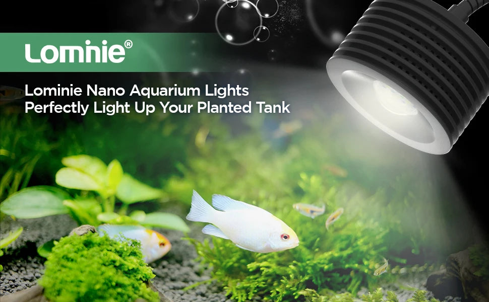 Lominie Asta 20 Freshwater 18W RGBW+UV Full Spectrum Nano LED Aquarium Light for Refugium Planted Fish Tank