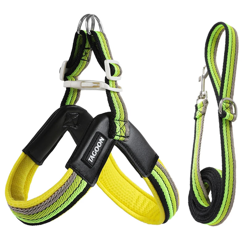 Hakimi Leash Dog Walking Harness Breathable Lightweight No Pulling Neck Collar for Small to Medium Dogs like Shiba Inu And Corgi