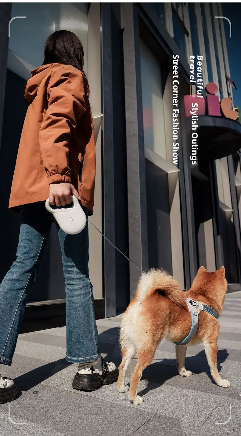 Automatic Retractable Dog Leash 5 Meters Long Teddy Dog Walking Rope Polyester Material for Small to Medium Sized Dogs