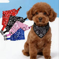 Adjustable Pet Bandana – Washable Triangular Scarf Bib for Dogs & Cats, Neck Decor, for Teddy/Bichon/Shiba/Corgi/Golden/Labrador