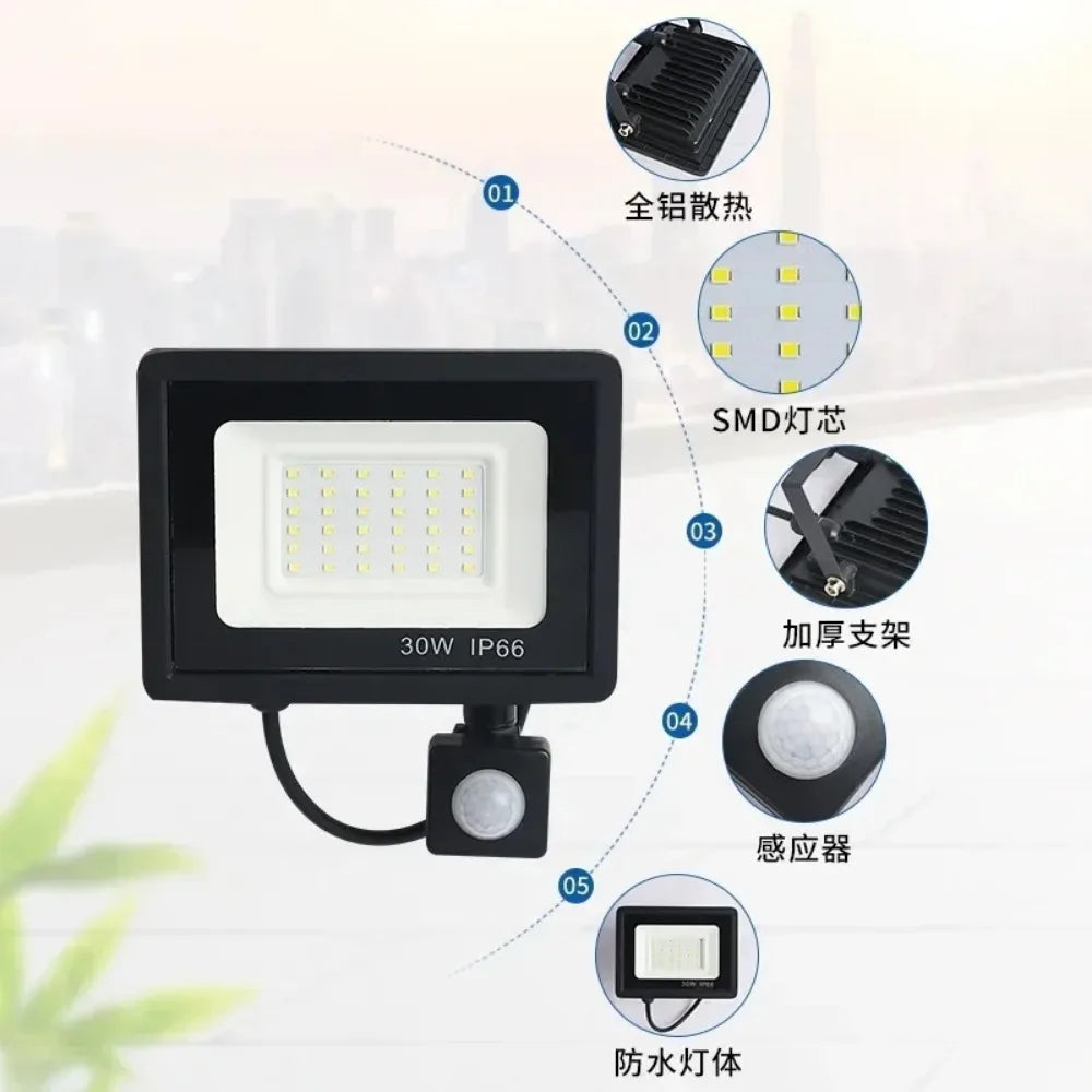 Sb80e6db1a73f4ff7b47313f0d0280e88l_b6fc4d2e-e43a-4e70-bb69-f26b5260d3cd - MegaDeal