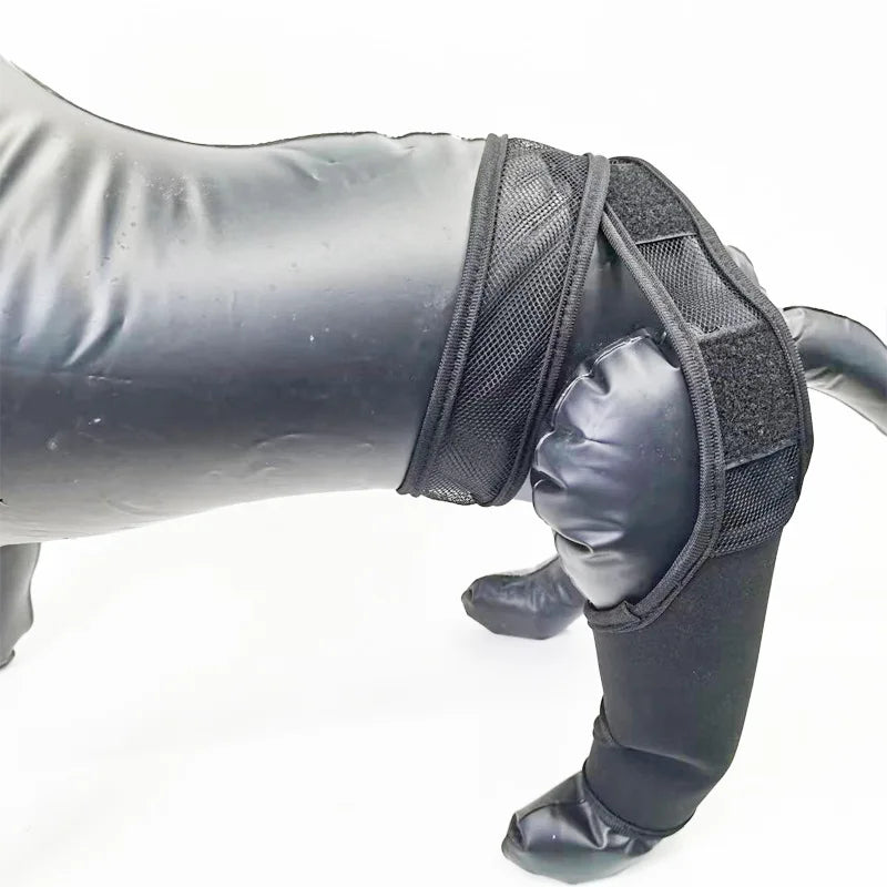 Adjustable Dog Leg Stand Support Sleeve Fracture Recovery Rehabilitation Pet Knee Protector Protective Equipment for Dogs
