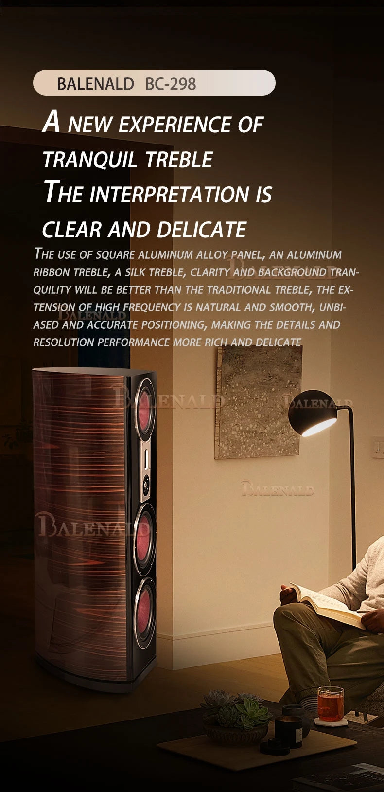 Balenald home theater system 298 floor-standing speaker hifi fever audio three-way dual 10-inch bass home speaker