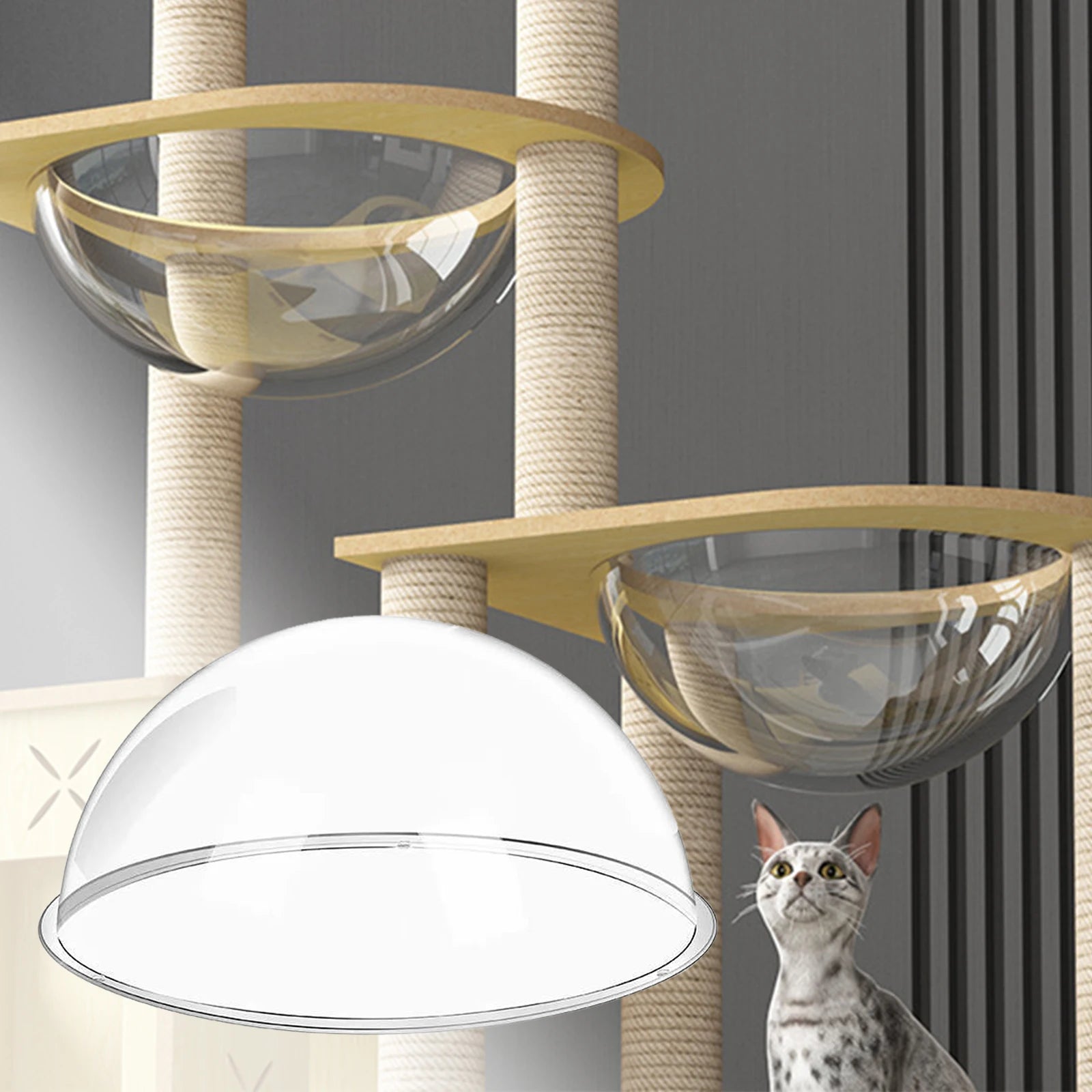 Space Clear Capsule Bed for Cats Hammock Climbing Frame Tree Clear Furniture Pet Playground
