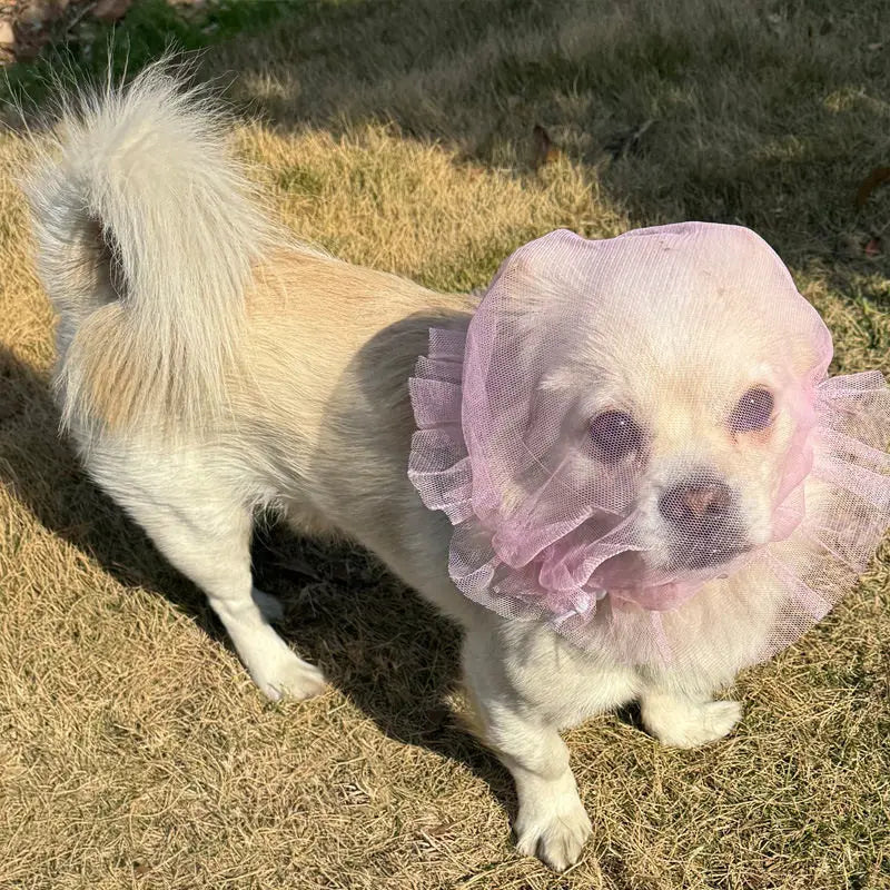 Comfortable Mesh Dog Mouth Cover Prevents Mess Eating Suitable for Small to Medium Dogs Prevents Biting And Licking