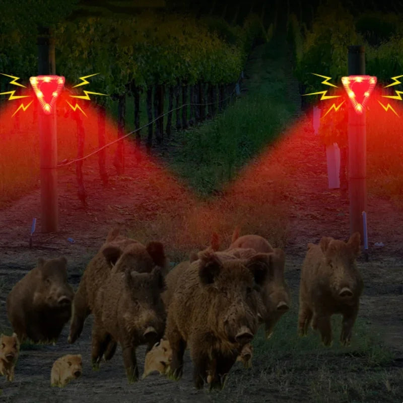 Sc615375d56a14a2e894f7f03bf2ecc4fh - MegaDeal