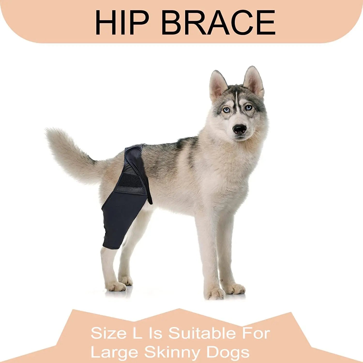 Adjustable Dog Leg Stand Support Sleeve Fracture Recovery Rehabilitation Pet Knee Protector Protective Equipment for Dogs
