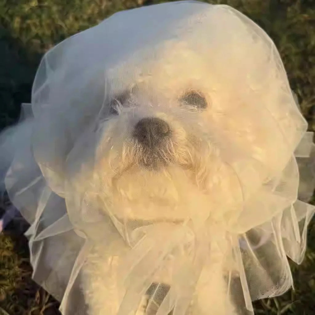 Comfortable Mesh Dog Mouth Cover Prevents Mess Eating Suitable for Small to Medium Dogs Prevents Biting And Licking