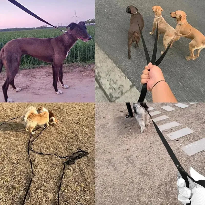 Long Tow Rope Nylon Dog Leashes 1.5M-50M 10M Pet Walking Training Leash Cats Dogs Harness Collar Lead Strap