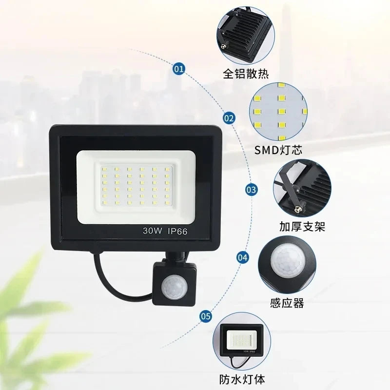 Sd7a3a992054e4542a7024bd5c29cefd7l_33c68ba1-2821-4b6c-b265-b69a13f34403 - MegaDeal