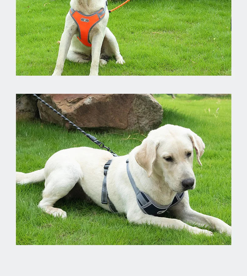 Strong Dog Leash Pet Leashes Reflective Leash For Big Small Medium Dog Leash Drag Pull Tow Golden Retriever