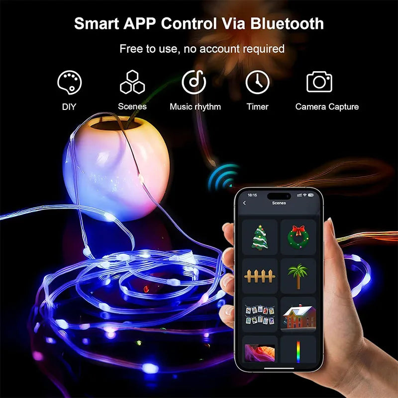 Se3c5d98ca78c4440b5b19db8bda8ab4ey - MegaDeal