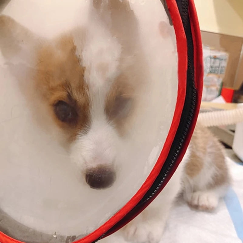 Pet Oxygen Mask Dog Anesthesia Mask Transparent Muzzles Safety Bite Prevent Small Medium Kitten Rescue Mask