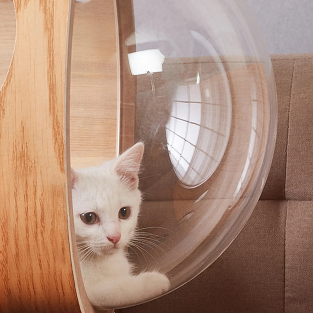 Space Clear Capsule Bed for Cats Hammock Climbing Frame Tree Clear Furniture Pet Playground